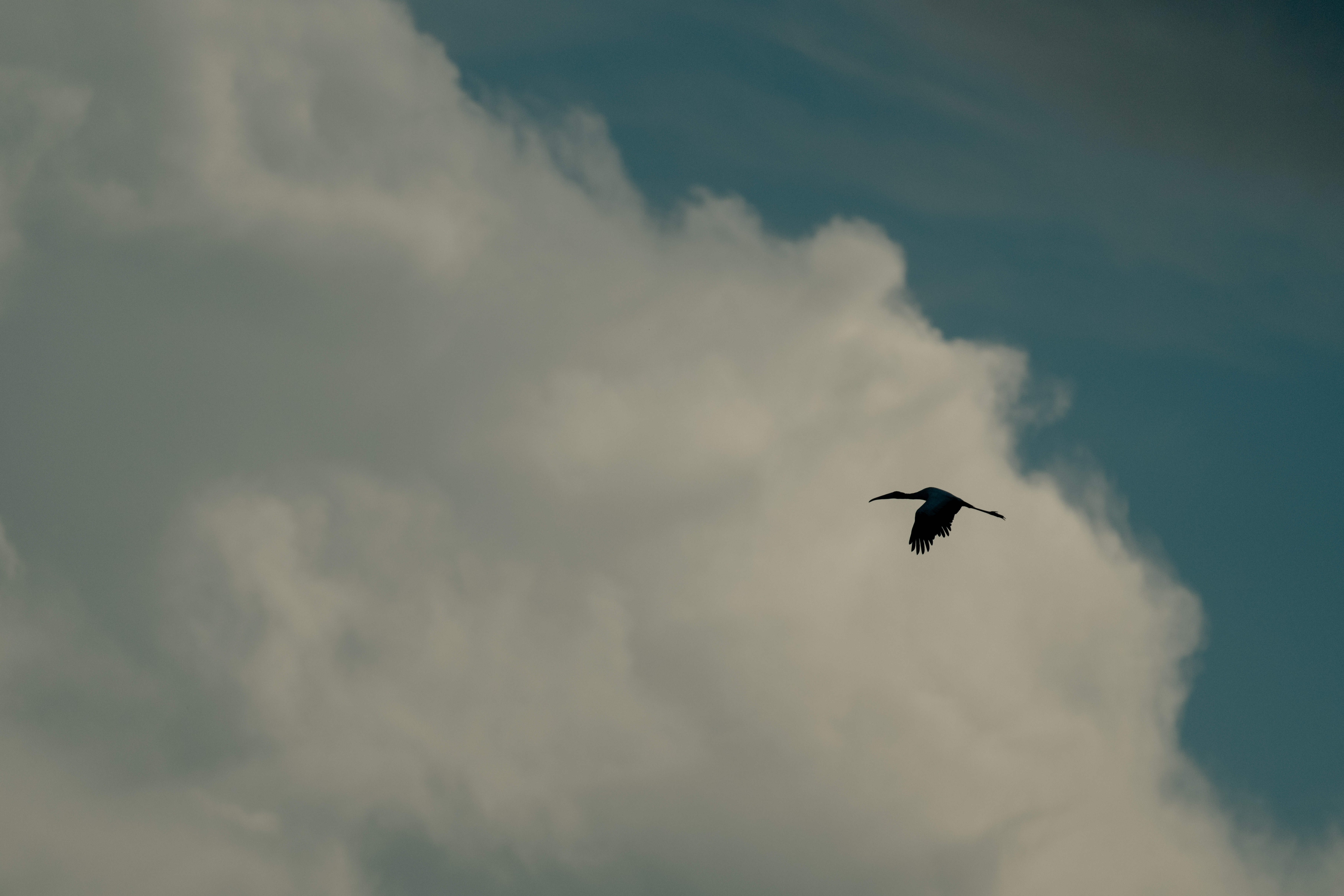 El cielo Chaqueño y sus detalles
