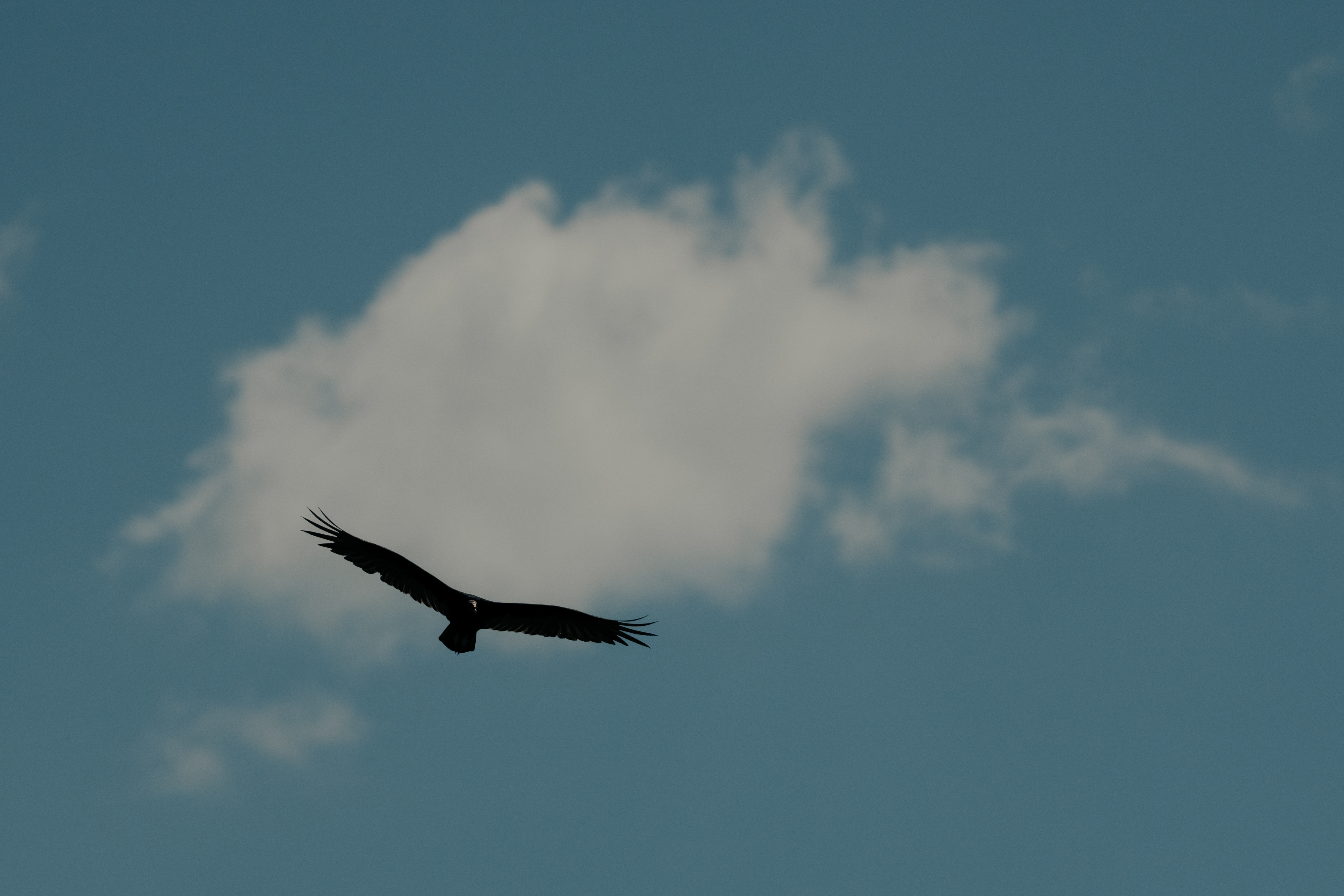 Movimiento en el cielo Chaqueño