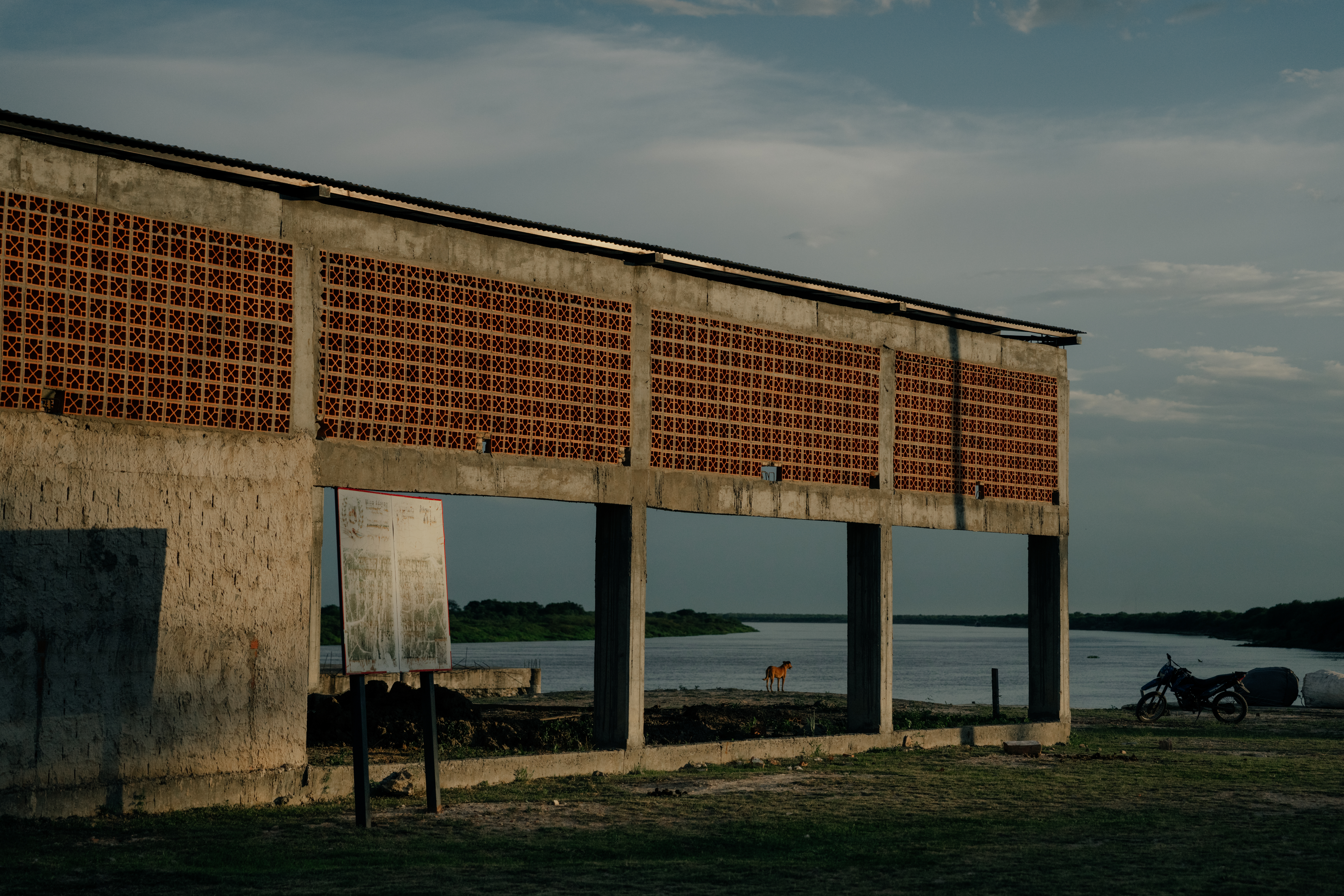 Detalles a orillas del río