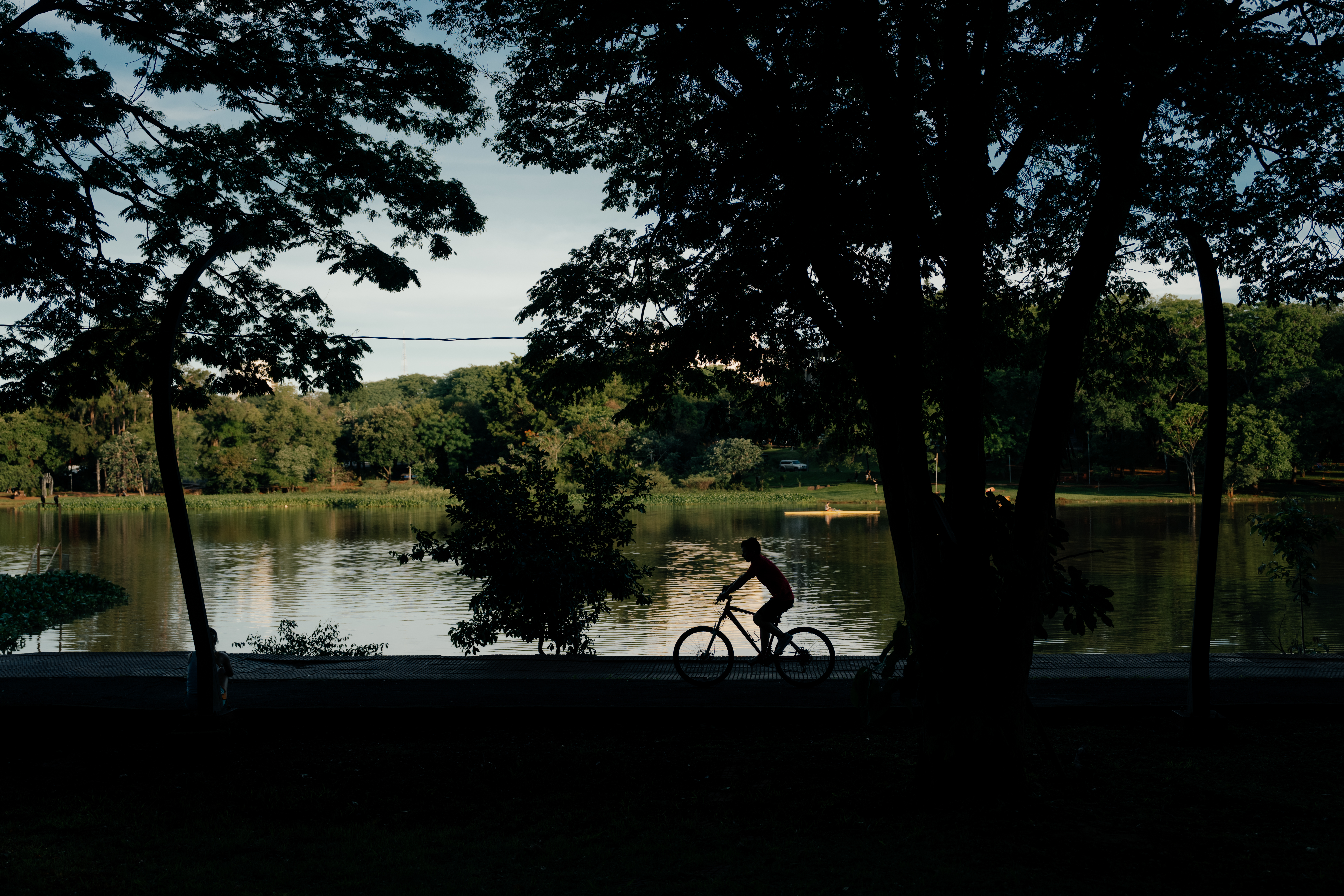 Persona en bicicleta junto a un lago rodeado de vegetación