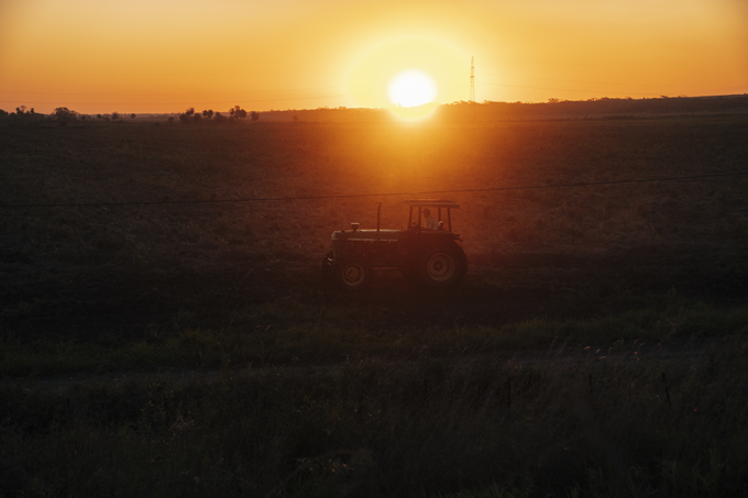 Atardecer en el campo
