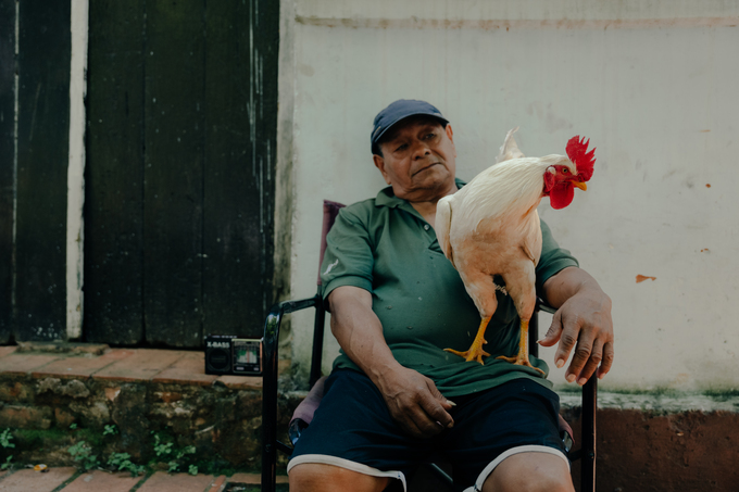 Hombre sentado con su gallo