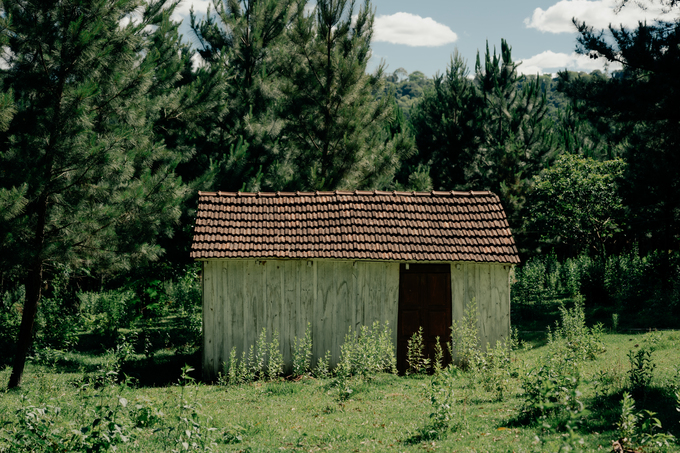 Vivienda rodeada de vegetación
